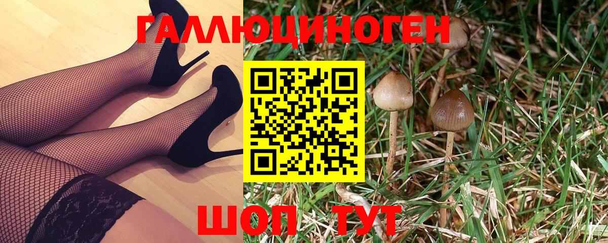Псилоцибиновые грибы Cubensis  Вход с VPN  Галлюциногенные грибы Psilocybe  Карачаевск 
